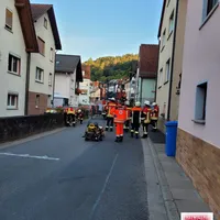 bild_1.jpg