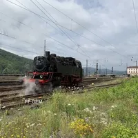 bild_7.jpg