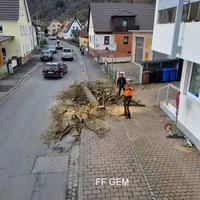 bild_3.jpg