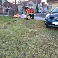 bild_6.jpg
