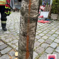 Bild_2.JPG