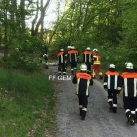 bild100.jpg
