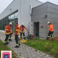 Bild_1.JPG