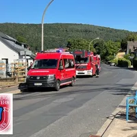 bild_1.jpg