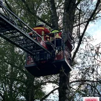 Bild_3.JPG