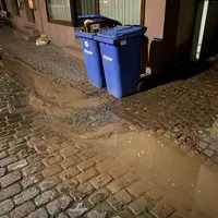 bild_1.jpg