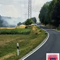 bild_3.jpg