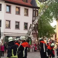 bild104.jpg