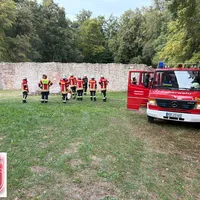 Bild_2.JPG