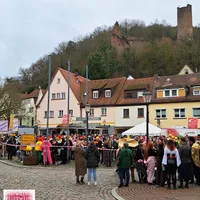 Bild_2.JPG