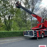 Bild_4.JPG