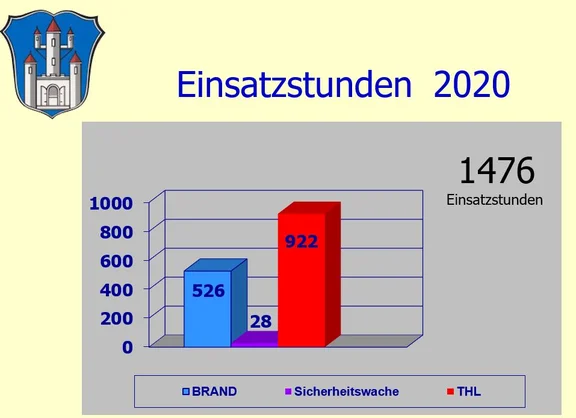 Einsatzstunden_2020.JPG