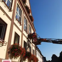 Bild_2.JPG